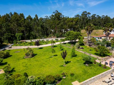 Quintinha V4 de 6017m2, tradicional, Ponte de Lima