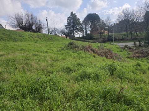 Terreno Urbano em Souto