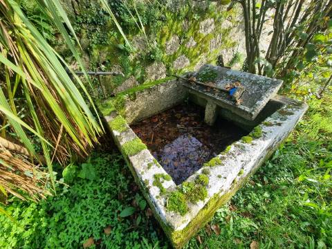 Quinta com 3 moradias, 5 minutos de Valença