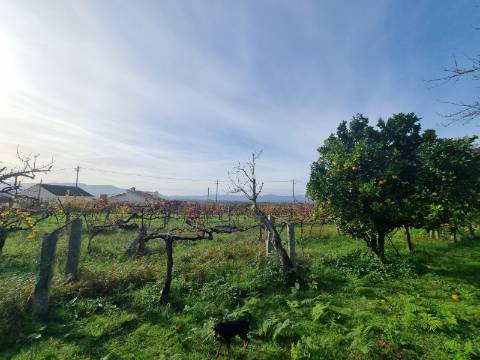 Quinta com 3 moradias, 5 minutos de Valença