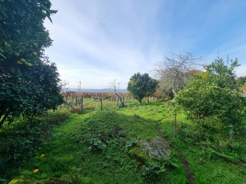 Quinta com 3 moradias, 5 minutos de Valença