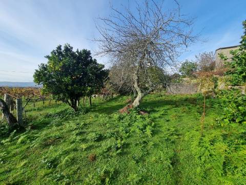 Quinta com 3 moradias, 5 minutos de Valença