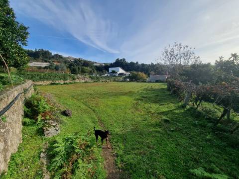 Quinta com 3 moradias, 5 minutos de Valença