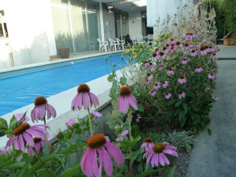 Moradia T4 em Gemieira, com piscina, jardim e vistas espectaculares