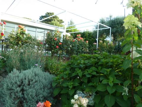 Moradia T4 em Gemieira, com piscina, jardim e vistas espectaculares