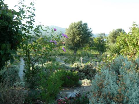 Moradia T4 em Gemieira, com piscina, jardim e vistas espectaculares