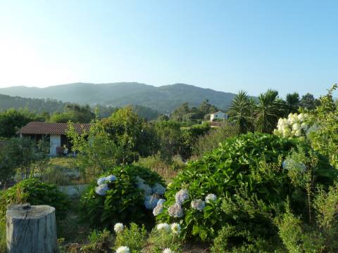 Moradia T4 em Gemieira, com piscina, jardim e vistas espectaculares