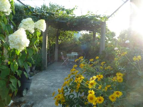 Moradia T4 em Gemieira, com piscina, jardim e vistas espectaculares