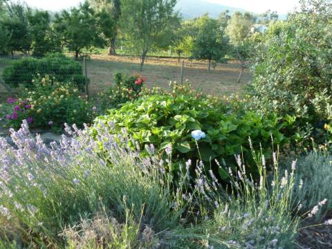 Moradia T4 em Gemieira, com piscina, jardim e vistas espectaculares