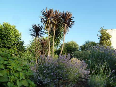 Moradia T4 em Gemieira, com piscina, jardim e vistas espectaculares