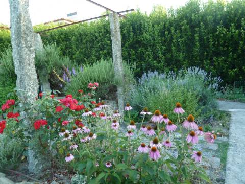 Moradia T4 em Gemieira, com piscina, jardim e vistas espectaculares