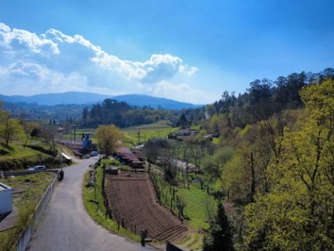 Terreno para construção em Oliveira