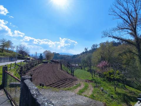 Terreno para construção em Oliveira