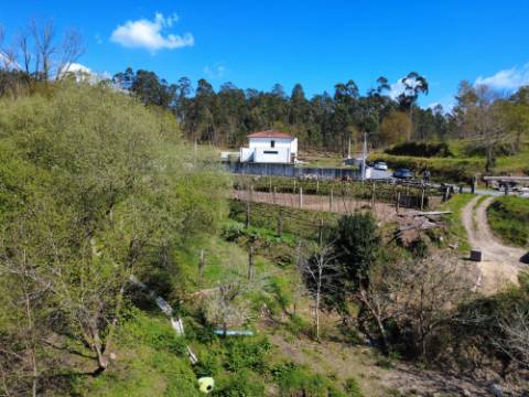 Terreno para construção em Oliveira