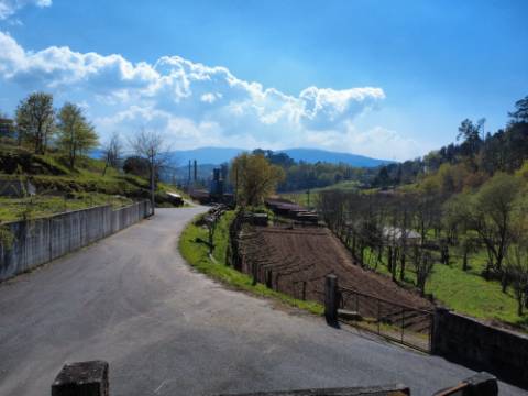 Terreno para construção em Oliveira