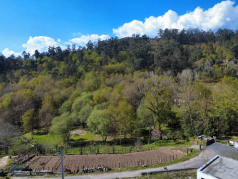 Terreno para construção em Oliveira