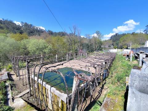 Terreno para construção em Oliveira