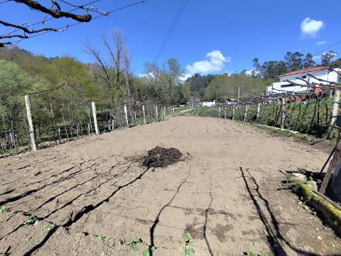 Terreno para construção em Oliveira