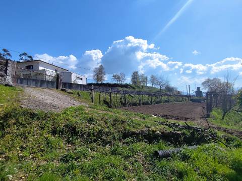 Terreno para construção em Oliveira
