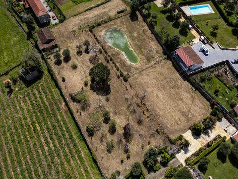 Quinta Histórica Século XIX com Negócio de Eventos Ativo e Rentável no Norte de Portugal