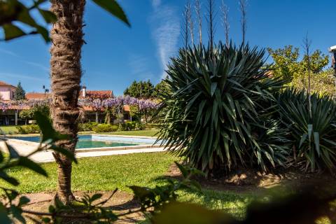 Quinta Histórica Século XIX com Negócio de Eventos Ativo e Rentável no Norte de Portugal