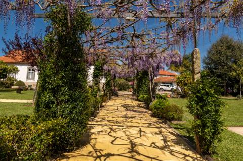 Quinta Histórica Século XIX com Negócio de Eventos Ativo e Rentável no Norte de Portugal