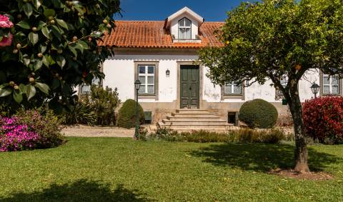 Quinta Histórica Século XIX com Negócio de Eventos Ativo e Rentável no Norte de Portugal