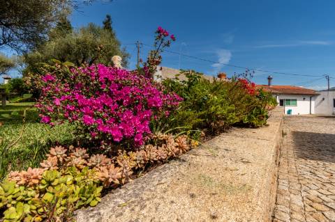 Quinta Histórica Século XIX com Negócio de Eventos Ativo e Rentável no Norte de Portugal