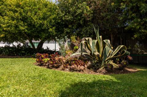 Quinta Histórica Século XIX com Negócio de Eventos Ativo e Rentável no Norte de Portugal