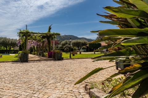 Quinta Histórica Século XIX com Negócio de Eventos Ativo e Rentável no Norte de Portugal