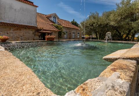 Quinta Histórica Século XIX com Negócio de Eventos Ativo e Rentável no Norte de Portugal