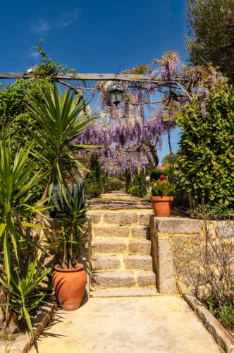 Quinta Histórica Século XIX com Negócio de Eventos Ativo e Rentável no Norte de Portugal