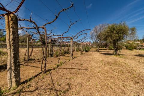 Quinta Histórica Século XIX com Negócio de Eventos Ativo e Rentável no Norte de Portugal