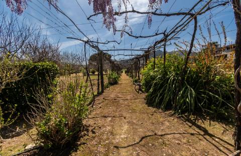 Quinta Histórica Século XIX com Negócio de Eventos Ativo e Rentável no Norte de Portugal