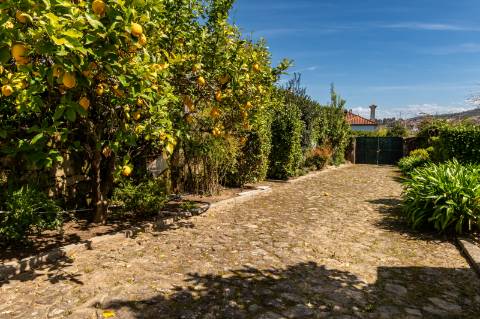 Quinta Histórica Século XIX com Negócio de Eventos Ativo e Rentável no Norte de Portugal