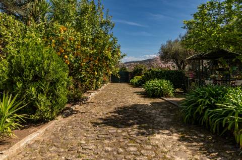 Quinta Histórica Século XIX com Negócio de Eventos Ativo e Rentável no Norte de Portugal