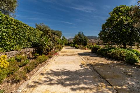 Quinta Histórica Século XIX com Negócio de Eventos Ativo e Rentável no Norte de Portugal