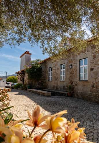 Quinta Histórica Século XIX com Negócio de Eventos Ativo e Rentável no Norte de Portugal