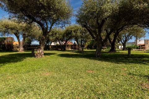 Quinta Histórica Século XIX com Negócio de Eventos Ativo e Rentável no Norte de Portugal