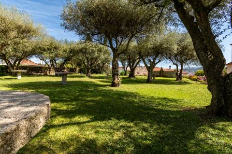 Quinta Histórica Século XIX com Negócio de Eventos Ativo e Rentável no Norte de Portugal