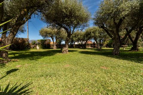 Quinta Histórica Século XIX com Negócio de Eventos Ativo e Rentável no Norte de Portugal