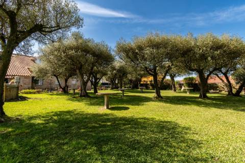 Quinta Histórica Século XIX com Negócio de Eventos Ativo e Rentável no Norte de Portugal