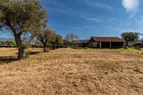Quinta Histórica Século XIX com Negócio de Eventos Ativo e Rentável no Norte de Portugal