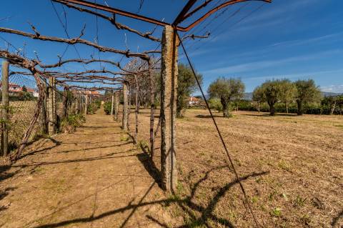 Quinta Histórica Século XIX com Negócio de Eventos Ativo e Rentável no Norte de Portugal