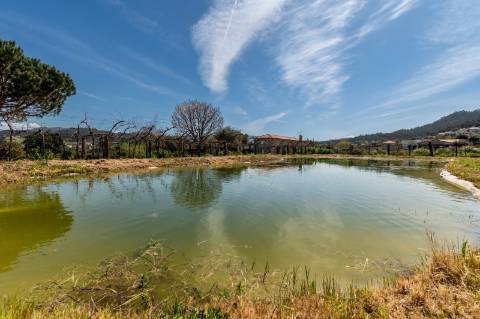 Quinta Histórica Século XIX com Negócio de Eventos Ativo e Rentável no Norte de Portugal