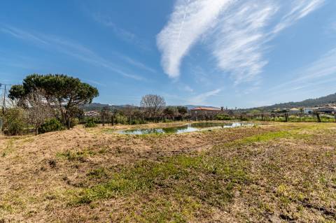 Quinta Histórica Século XIX com Negócio de Eventos Ativo e Rentável no Norte de Portugal