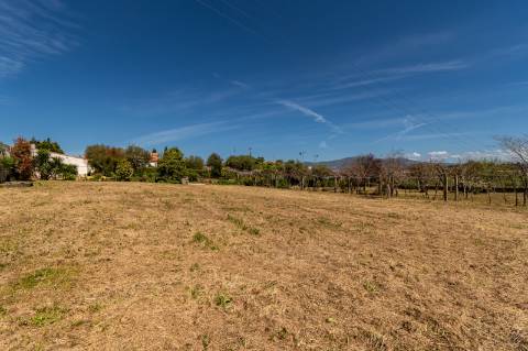 Quinta Histórica Século XIX com Negócio de Eventos Ativo e Rentável no Norte de Portugal