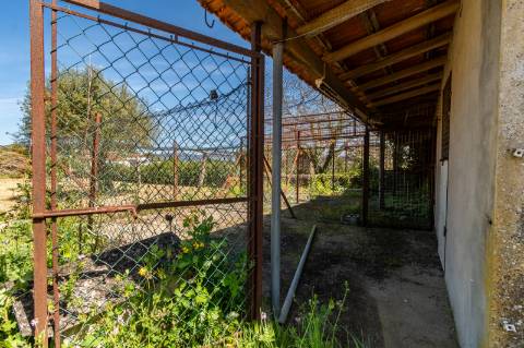 Quinta Histórica Século XIX com Negócio de Eventos Ativo e Rentável no Norte de Portugal