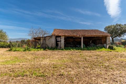 Quinta Histórica Século XIX com Negócio de Eventos Ativo e Rentável no Norte de Portugal