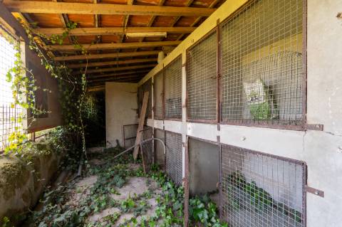 Quinta Histórica Século XIX com Negócio de Eventos Ativo e Rentável no Norte de Portugal